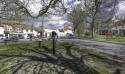 GFord_Sedge_13Apr2021-24