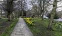 GFord_Sedge_13Apr2021-3