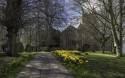 GFord_Sedge_13Apr2021-4