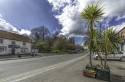 GFord_Sedge_13Apr2021-5