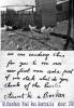 1920-richardson-fowl-run