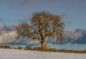 Snow in January 2018 (6)