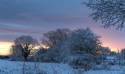 Snow in January 2018 (7)