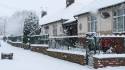 Snow_29Dec_2017 (12)