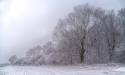 Snow_29Dec_2017 (15)