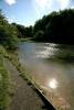 gfreflections_on_a_summers_day