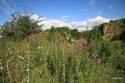 gfsummers_day_in_wingate_quarry