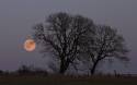 moon-rise