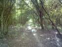 picture0007