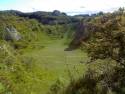 picture0008