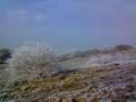 picture0040
