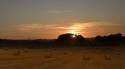 straw-bale-sunset-wf