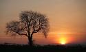 sunrise1