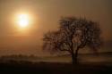 sunrise2