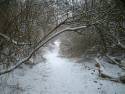 winter002