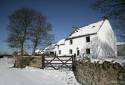 gfoldwingatefarminwinter2