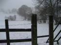 24th Dec 2009