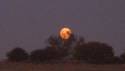 Moonrise