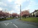 Trimdon Village