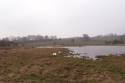 2005-trimdon-walk-0029