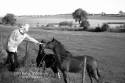 2003 Trimdon Walkers Bishop Middleham 007