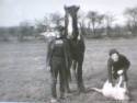 Hurworth Burn farm