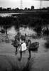 1954-carrs-pond