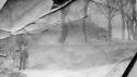 unknown-trimdon