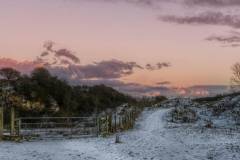 Walkabout 2017 by George Ford