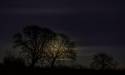 Full Moon From Back Garden