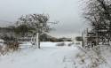 Nature Reserve 1