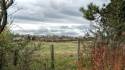 Walk To Wingate 1