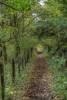 Walk To Wingate 2