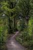 Walk To Wingate 5